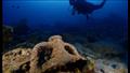 بقايا حمولة سفينة دوكوس الغارقة عمرها 4500 عام