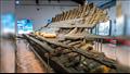 بقايا سفينة مارسالا البونيقية عمرها 2300 عام