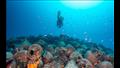 حطام سفينة بيريستيرا تحت الماء عمره 2400 عام