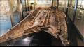 قارب دوفر من العصر البرونزي عمره 3500 عام