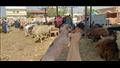 طفل يرفع خروف امام الزباين في السوق 