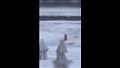 جرفت الأمواج فتاة، بينما كانت تتجول مع زوجها على الشاطئ في مدينة سوتشي الروسية