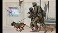 الكلاب البوليسية في جيش الاحتلال