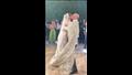 قبلة احمد حافظ لزوجته جميلة عوض