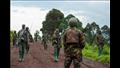 هجمات إرهابية في الكونغو الديمقراطية    أرشيفية