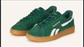 الحذاء الرياضي الأخضر