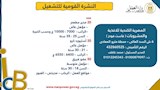 النشرة القومية للتشغيل (4)