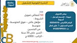 النشرة القومية للتشغيل (5)