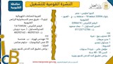 النشرة القومية للتشغيل (3)