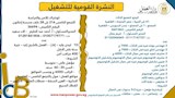 النشرة القومية للتشغيل (13)