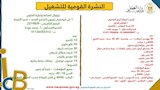 النشرة القومية للتشغيل (15)