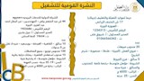 النشرة القومية للتشغيل (24)