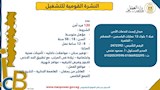 النشرة القومية للتشغيل (22)