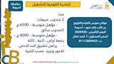 النشرة القومية للتشغيل (11)