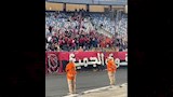 جماهير الأهلي_6