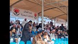 مشاهدي المهرجان