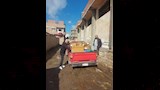 جمبري منتهي الصلاحية 