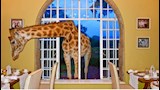   فندق الزرافات (Giraffe Manor) – كينيا