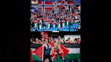 أعلام فلسطين في مباراة النرويج 