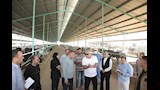 محافظ الوادي الجديد يتفقد مشروع تسمين الماشية بمدينة الخارجة (2)