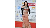 غادة ابراهيم في مهرجان القاهرة السينمائي