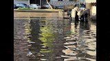 غرق شوارع بورسعيد (2)