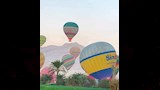 عودة رحلات البالون الطائر للتحليق في سماء الأقصر (4)