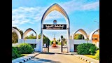 جامعة المنيا