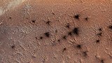 سلحفاة وأسراب من العناكب.. ناسا تنشر صورًا نادرة على سطح المريخ (5)