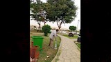 رفع كفاءة ونظافة الحدائق والمتنزهات العامة بأسوان (2)