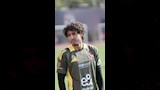 محمد هاني