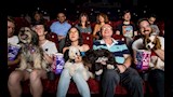 أغرب سينما في العالم.. تفتح أبوابها للكلاب أسبوعيا لمشاهدة الأفلام 