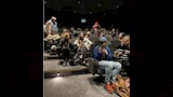 أغرب سينما في العالم.. تفتح أبوابها للكلاب أسبوعيا لمشاهدة الأفلام 