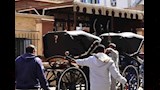 ضبط عربات حنطور مخالفة (8)