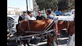 ضبط عربات حنطور مخالفة (6)
