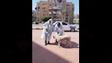 حملة تحصين كلاب الشوارع (6)