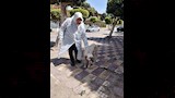 حملة تحصين كلاب الشوارع (2)