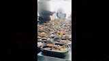 مبادرة مطبخ المصرية بإيد بناتها