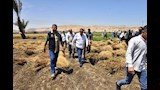 موسم حصاد القمح (14)