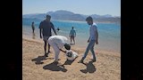 تنظيف قاع البحر