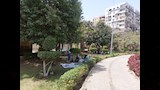افتتاح حديقة الست خضرة بحلوان (11)