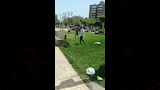 أهالي المنيا يحتفلون بشم النسيم (3)