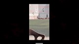 الزمالك يزيل صورة زيزو من ملعب حلمي زامورا1_Easy-Resize.com 