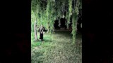 الهام شاهين (1)
