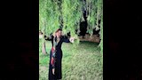 الهام شاهين (4)