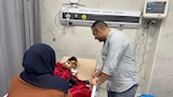 الدكتور محمد شعبان مدير فرع الهيئة