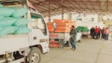 توريد القمح