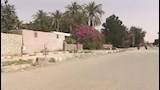 استقرار نسبي في طقس الوادي الجديد ورفع درجة الطوارئ استعدادًا لموجة من العواصف الترابية (4)_1
