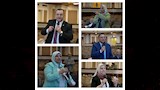 مجلس جامعة القاهرة (4)