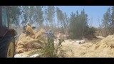 حصاد القمح 